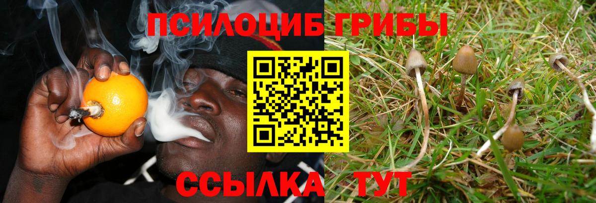 Магнитогорск  Псилоцибиновые грибы мицелий  Вход с VPN 